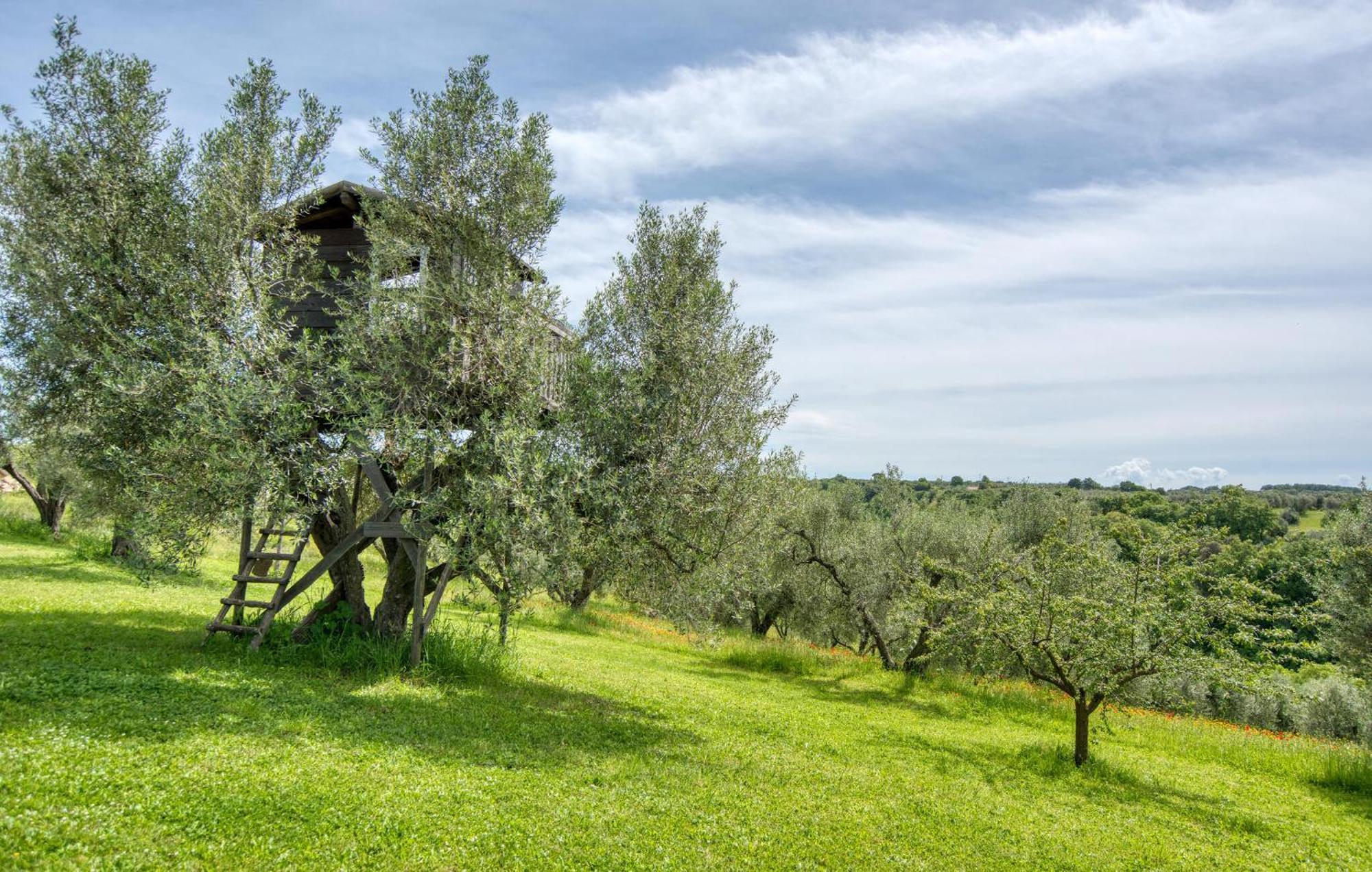 Lovely Home In Farnese With Kitchen Esterno foto